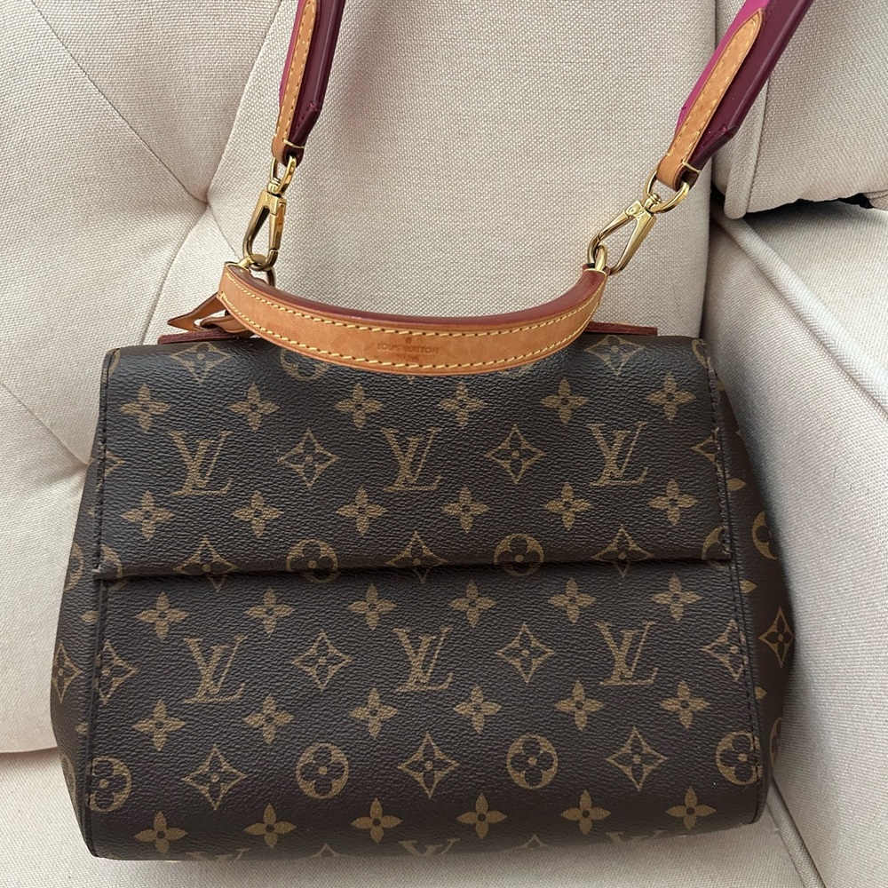 LV smaller bag